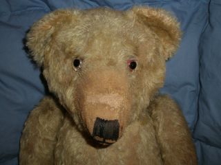 ULTRA RARE LARGE SIZE ANTIQUE  WILLIAM J. TERRY  TEDDY BEAR SUPER OLD 