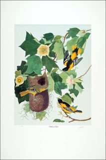 audubon limited edition m bernard loates baltimore oriole 464 1000