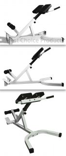   Chair 45 Degree Hyperextension Abdominal Bench Gym Exercise New