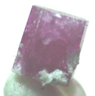 cm Gem Red Beryl Crystal Utah Mineral Specimen for Sale
