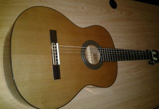   nylon string acoustic, artist series, cedar top, AC65 classical guitar