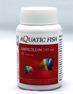 aquatic fish ampicillin 250 mg 50 capsules antibiotic from thailand
