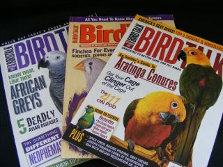   Issue 3 Magazines Finches Greys Aratinga Conures Bird Supplies