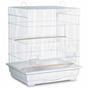   Base Birdie Cage.Parakeet Bird Home.Clean.Pet Supplies.Habitat.Safety