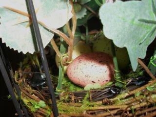 Metal Decorative Bird Cage with Woodland Birds Nest, Eggs, Moss, Vines 