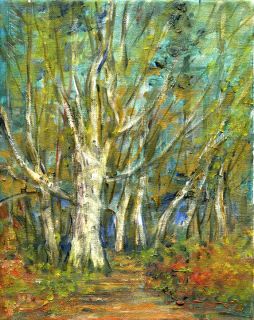Illinois Birch Trees  Autumn Woods 10x8 Original Oil on canvas Hall 