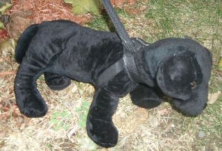 Barking Pet Dog on A Leash Plush Black Doggie