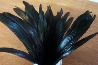 20 Dyed Jet Black Rooster Coque Tail Feathers 8 10