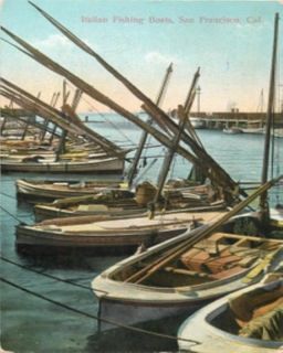   Francisco California Italian Fishing Boats M Rieder Postcard
