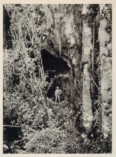 1931 Inca Sodalite Mine Cerro Sapo Bolivia Photogravure   ORIGINAL 
