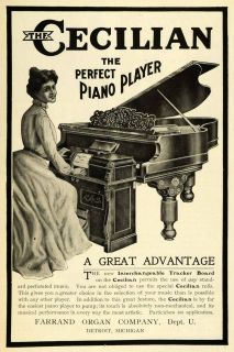    Farrand Organ Cecilian Piano Player Tracker Board Musical Instrument
