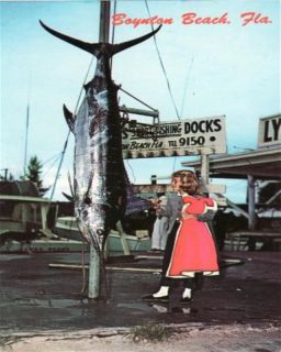 Over 10 ft Blue Marlin Off Baynton Beach FL Postcard