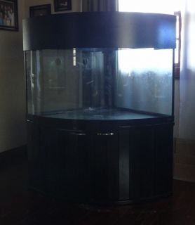 92 gallon CORNER bowfront FISH TANK W STAND Canopy Reef Ready drilled