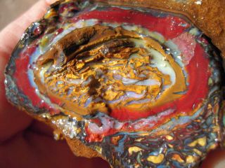 Australian Koroit Boulder Opal Stunning Red Nut Rough Super Chunk $10 