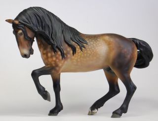 anhur is a customized breyer family arabian stallion or fas every inch 