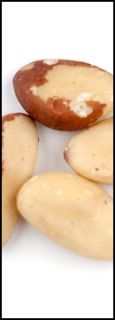 nuts also known as medium brazil nuts product info medium brazil nuts 