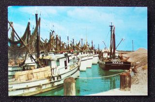 1960s Shrimp Fishing Boats Port Isabel Brownsville TX