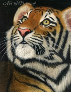 Tiger Big Cat Cub Kitten Katze Tigre Tijger Wildlife Painting Art 