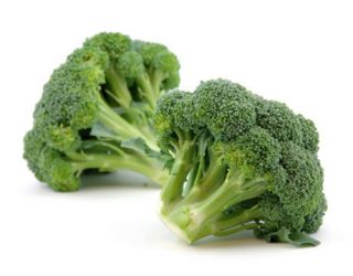 Broccoli Calabrese Green Sprouting Organic 4000 Seeds PK
