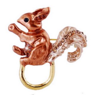 More Option Squirrel Brooch Pin 31x31mm Zinc Alloy 22922 Made in China 