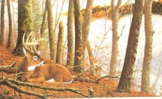 gallery now free robert smith deer buck print secluded hideaway