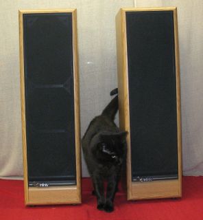 Infinity RS 525 Reference Standard Speakers Refoamed Near Mint 