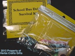 click to view image album school bus driver toothpick to