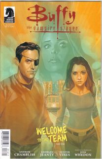 Buffy the Vampire Slayer Season 9 #16 Comic Book Cover A, IDW 2012 NEW 