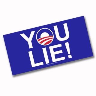 Bumper Sticker YOU LIE tea party Anti Obama liberal Mitt Romney Paul 