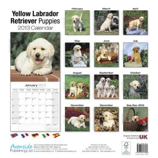 Yellow Labrador Retriever Puppies 2013 Calendar 10202 13
