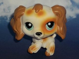 Littlest Pet Shop Rustic Spotted Cocker Spaniel #344 LPS Puppy Dog 