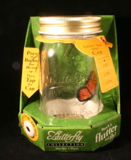 butterfly in a jar animated monarch butterfly in a glass jar amazing