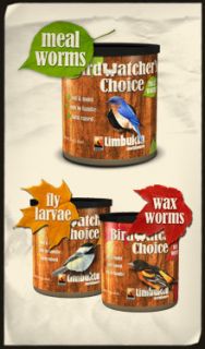 Birdwatchers Choice Canned Food Meal Worms 200 Can