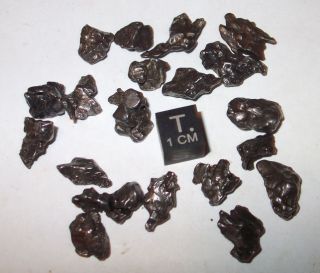 Campo Del Cielo Iron Meteorite Crystal Lot Selection