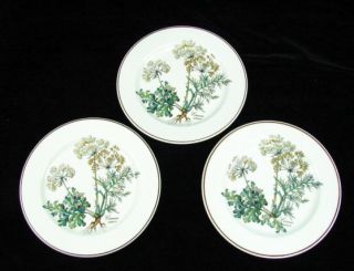   Botanica Bread Dessert Plates Carum Carvi Caraway Porcelain