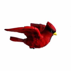 Fly Through Bird Magnet Red Cardinal thru Glass Effect