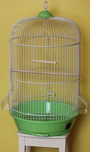 Cage Bird New Real Wood for Parakeet Canary Parrot Round Cage Green 