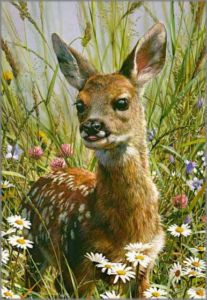 Carl Brenders Spring Fawn Deer MINT S N 800 Value Rare 1989 w cert 