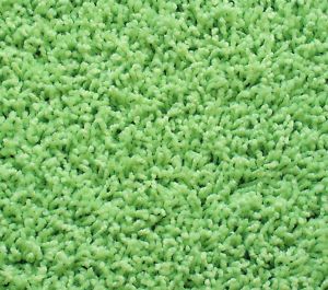 Area Rug Green Shag Carpet w Binding Froggy Green