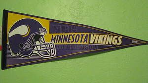 Wincraft NFL Minnesota Vikings North Division 30 Pennant