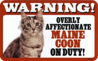 Overly Affectionate Maine Coon Cat on Duty Sign New