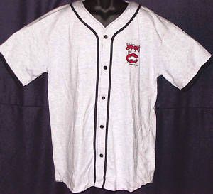 Carolina Mudcats Vintage 90s Redsaa Sewn Jersey L