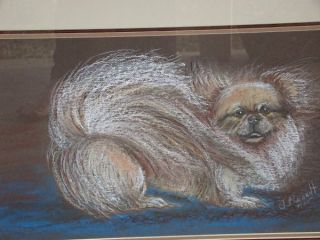 Brandt Chalk Original Artwork Pekingnese Dog Chalk Drawing Framed 