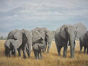 Charles Frace Treasures of Africa Elephant Ed Print