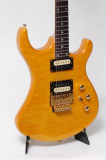 Shine SI 501 Electric Guitar by Chase Free Chase Bag