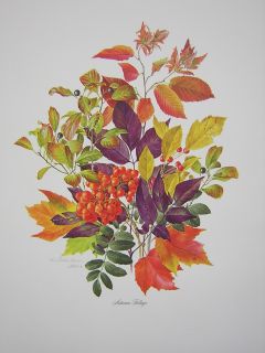 Anne Dowden Autumn Foliage Flower Leaves Ed Print