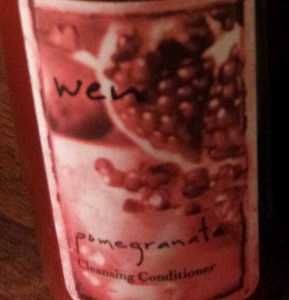 Wen by Chaz Dean Pomegranate Cleansing Conditioner 16 oz w Pump New 