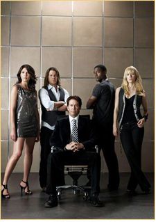 Leverage , now in its fifth season on TNT follows the adventures of a 