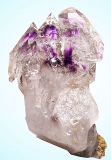 New Find 5 75 Phantom Amethyst Scepter Crystals India