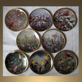 Complete Plates Birds of The Garden Collection Wanda Mumm RARE